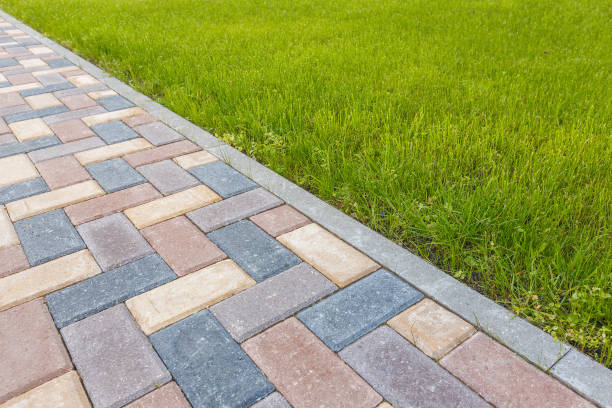 Best Professional Driveway Pavers  in Oakland, SC